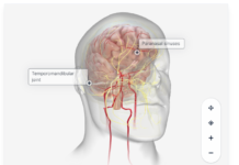 موقع BIO Digital