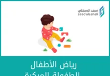 الدليل التنظيمى للحضانة ورياض أطفال رياض الأطفال و الطفولة المبكرة